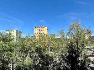 Pronájem bytu 2+kk, Brno, Palackého třída, 39 m2