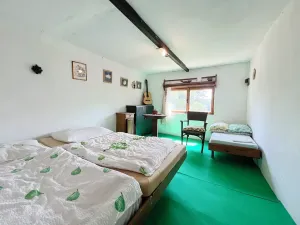 Prodej chalupy, Medonosy, 170 m2