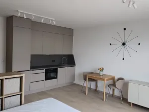 Pronájem bytu 1+kk, Praha - Vysočany, Gerstelova, 36 m2