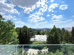 Pronájem bytu 2+kk, Brno, třída Generála Píky, 75 m2