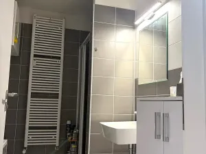 Pronájem bytu 3+kk, Plzeň, Otýlie Beníškové, 80 m2