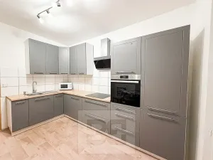 Pronájem bytu 2+1, Ostrov, S. K. Neumanna, 56 m2