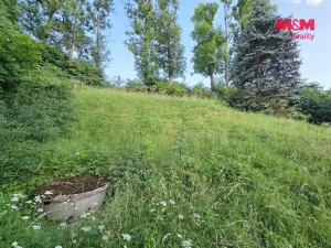 Prodej pozemku pro bydlení, Ostrov - Květnová, 1326 m2