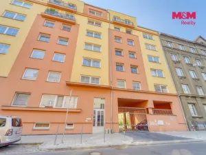 Pronájem bytu 1+kk, Plzeň - Východní Předměstí, Plzenecká, 33 m2