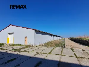 Pronájem skladu, Dolní Chvatliny, 3690 m2
