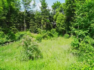 Prodej pozemku pro bydlení, Poniklá, 1280 m2