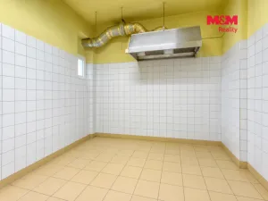 Pronájem obchodního prostoru, Plzeň - Lobzy, Petřínská, 88 m2