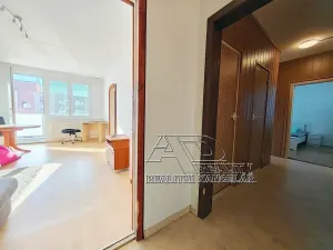 Prodej bytu 3+1, České Budějovice, Labská, 76 m2