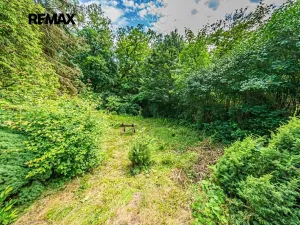 Prodej chaty, Sýkořice, 25 m2