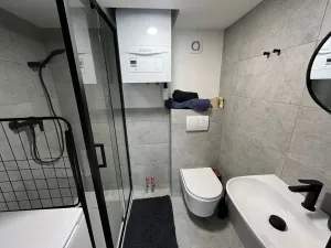 Pronájem bytu 1+kk, Praha - Nusle, Jaromírova, 18 m2