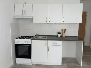 Pronájem bytu 1+1, Litvínov, Rooseveltova, 34 m2