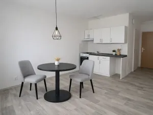 Pronájem bytu 1+1, Litvínov, Rooseveltova, 34 m2