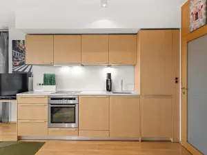 Prodej bytu 2+kk, Praha - Žižkov, Pitterova, 55 m2