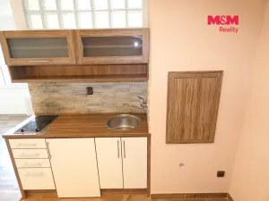 Pronájem bytu 1+kk, Ostrava - Moravská Ostrava, Petra Křičky, 30 m2