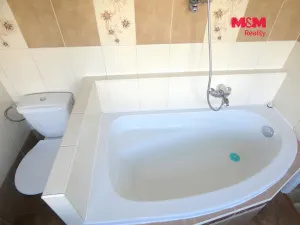 Pronájem bytu 1+kk, Ostrava - Moravská Ostrava, Petra Křičky, 30 m2