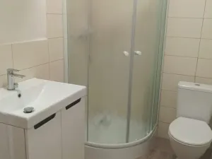 Pronájem bytu 1+kk, Tochovice, 34 m2