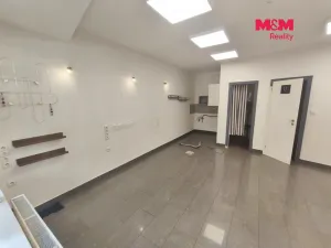 Pronájem obchodního prostoru, Ostrava - Moravská Ostrava, Nádražní, 42 m2