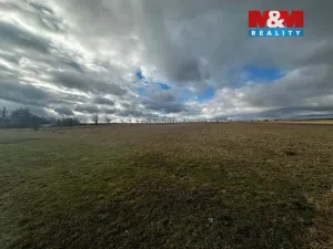 Prodej pozemku pro bydlení, Větřkovice, 4806 m2