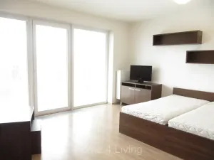Pronájem bytu 1+kk, Brno, Gajdošova, 38 m2