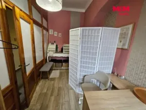 Pronájem obchodního prostoru, Plzeň, sady 5. května, 12 m2