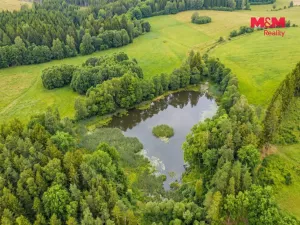 Prodej rybníku, Horní Ves, 21990 m2