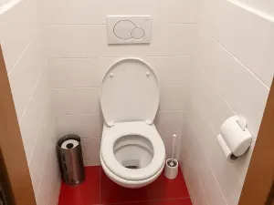 Prodej bytu 3+1, Zlín, Budovatelská, 68 m2