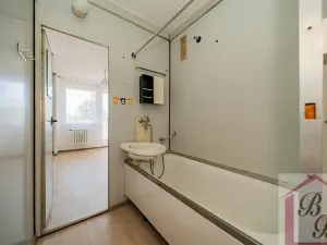 Prodej bytu 3+1, Benátky nad Jizerou, Platanová, 78 m2