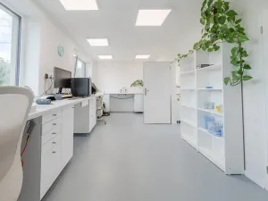 Prodej vícegeneračního domu, Trubín, Za Úvozem, 324 m2