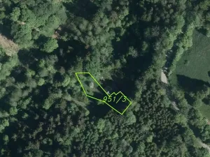 Dražba zahrady, Rokytnice v Orlických horách, 858 m2