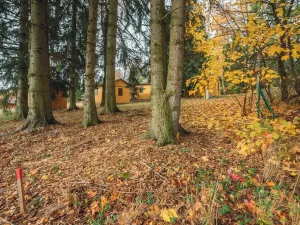 Prodej chaty, Seč, 21 m2