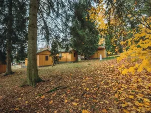 Prodej chaty, Seč, 21 m2