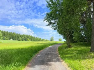 Prodej chaty, Borová, 53 m2
