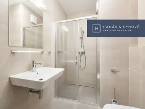 Pronájem bytu 1+kk, Brno, Chaloupkova, 29 m2