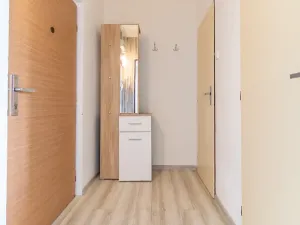 Pronájem bytu 1+kk, Mladá Boleslav, Zalužanská, 25 m2