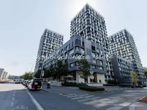 Pronájem bytu 2+kk, Praha - Žižkov, Olšanská, 61 m2