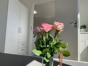 Pronájem bytu 2+kk, Mladá Boleslav - Mladá Boleslav II, Jana Palacha, 42 m2
