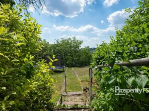 Prodej zahrady, Žitenice, 651 m2