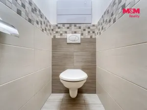 Pronájem bytu 2+1, Plasy, Stará cesta, 55 m2