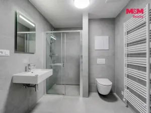 Pronájem bytu 1+kk, Plzeň - Litice, Srncová, 36 m2