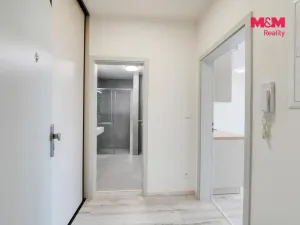 Pronájem bytu 1+kk, Plzeň - Litice, Srncová, 36 m2