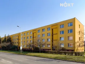 Pronájem bytu 1+1, Žatec, Husova, 36 m2