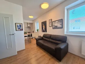 Pronájem bytu 1+kk, Brno, Přírodní, 35 m2