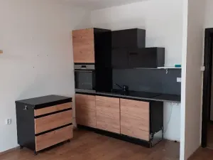 Pronájem bytu 2+kk, Ústí nad Labem, Na Kohoutě, 42 m2