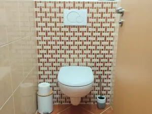 Pronájem bytu 2+kk, Plzeň, Znojemská, 66 m2