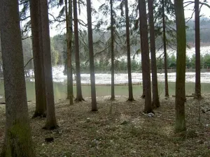Pronájem rybníku, Prštice, 9975 m2