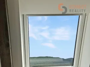 Prodej vily, Dolní Věstonice, Hlavní, 239 m2