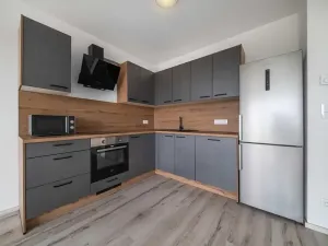 Pronájem bytu 2+kk, Plzeň, Srncová, 58 m2