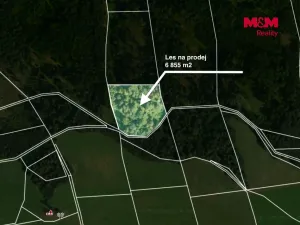 Prodej lesa, Jestřebí, 6855 m2