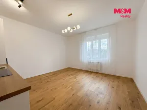 Pronájem bytu 1+kk, Praha - Vršovice, Petrohradská, 30 m2