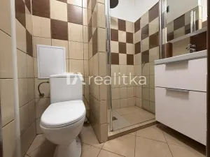Pronájem bytu 1+kk, Havířov, Dlouhá třída, 24 m2